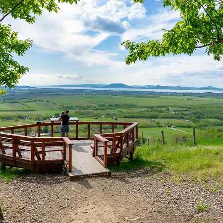 In 45323 バラトンレッレ