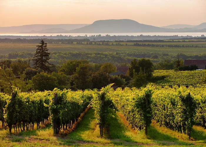 アパート In 45323 *